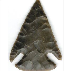 Meet your Posher, Colton